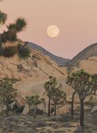 Desert Room Diffuser