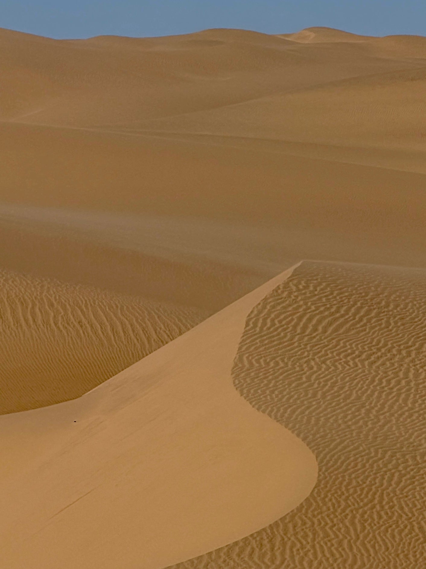 Desert landscape with sand dunes under a clear blue sky