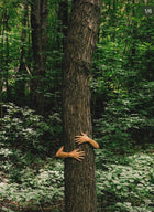Forest Eau De Parfum