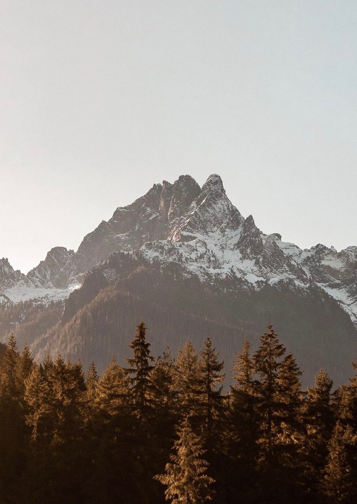 Mountain peak with snow and trees in the foreground