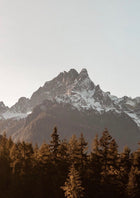 Mountain peak with snow and trees in the foreground