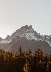 Mountain peak with snow and trees in the foreground