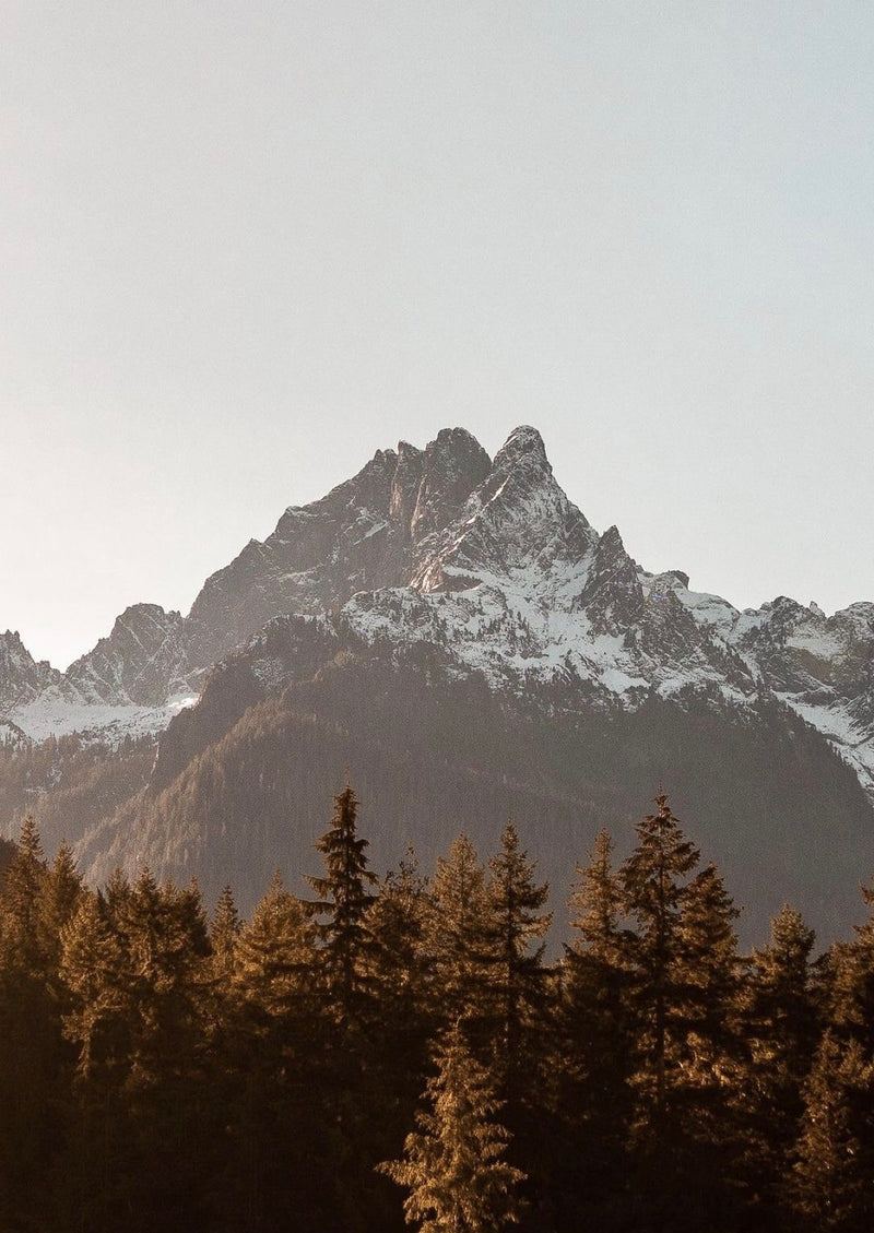 Mountain peak with snow and trees in the foreground