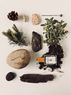 Perfume bottle with natural elements like plants, stones, and wood on a light background