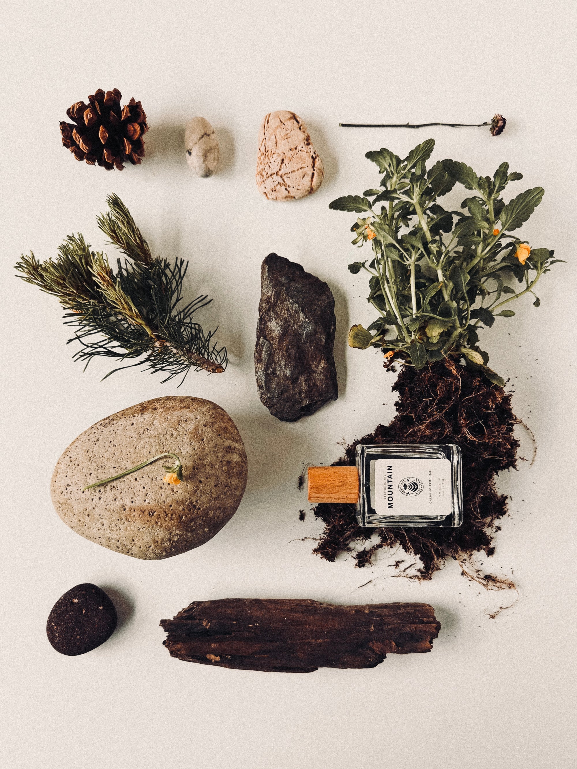 Perfume bottle with natural elements like plants, stones, and wood on a light background